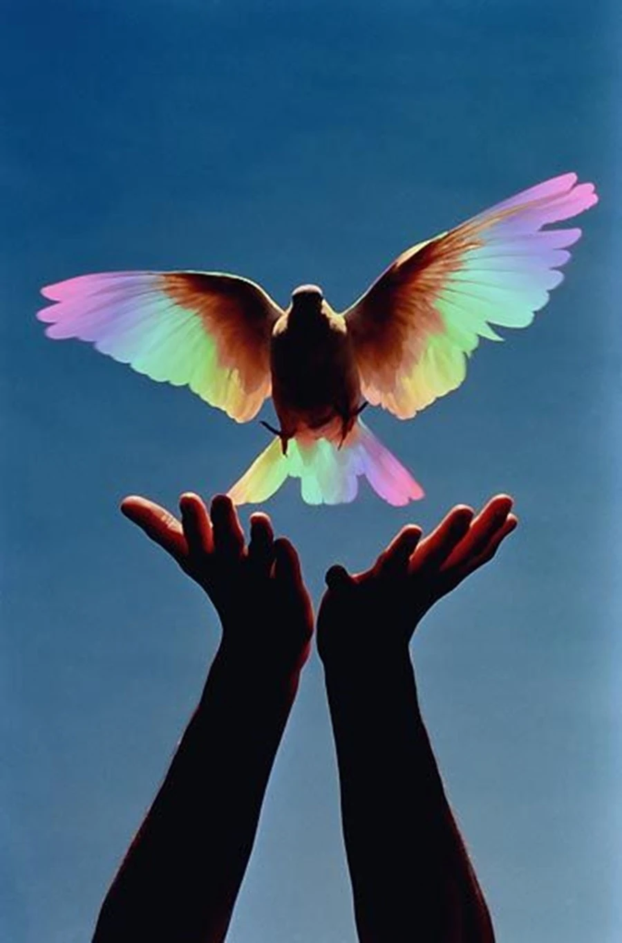 Renkli Baskılı Sayılarla Boyama Hobi Seti:  Özgürlük