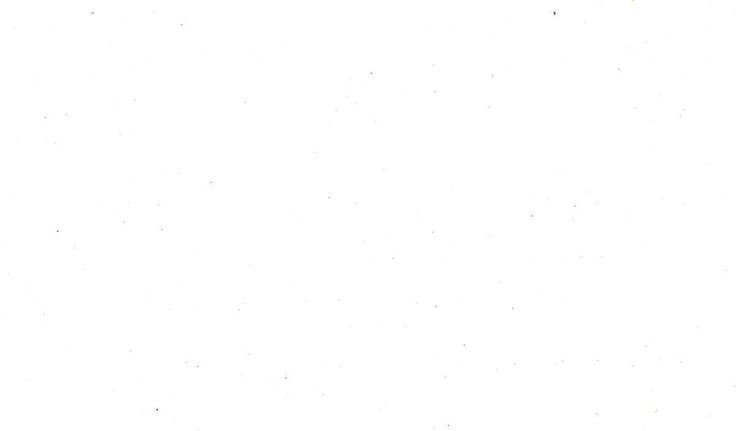 Kargo Politikası 