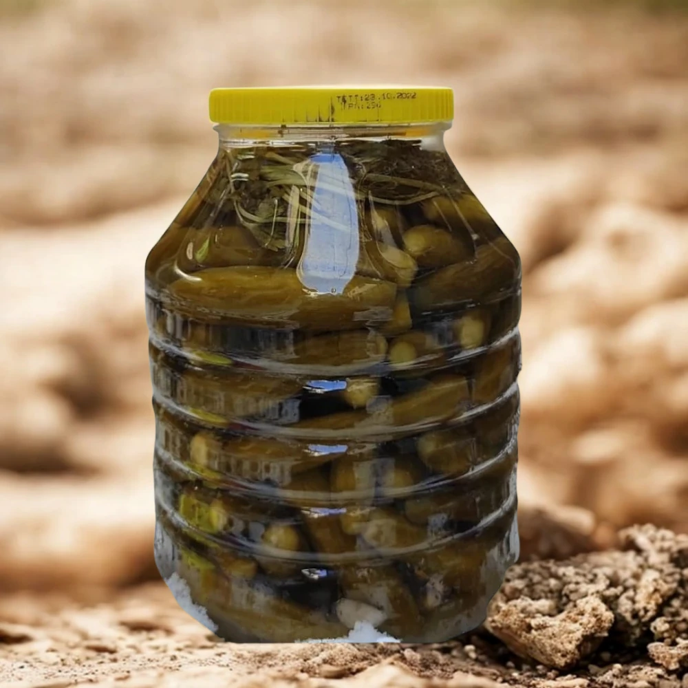 İskilip Turşusu / Normal Boy