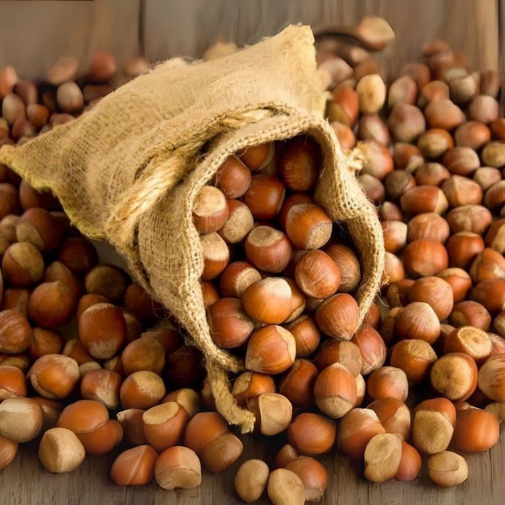 Gürgentepe Çakıldak Fındığı