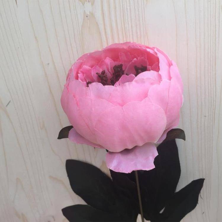 Şakayık Gül Pembe 1 Adet