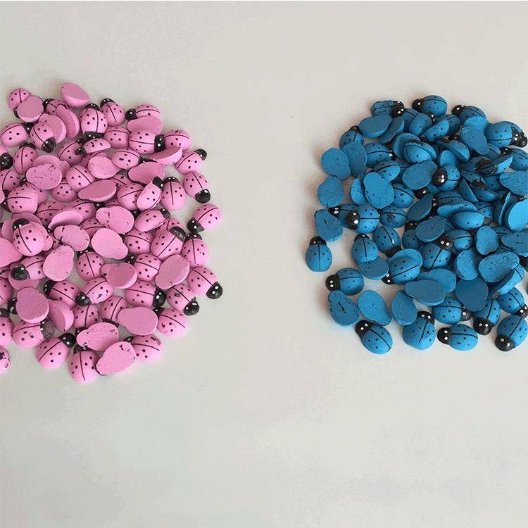 Uğur Böceği 1 Paket