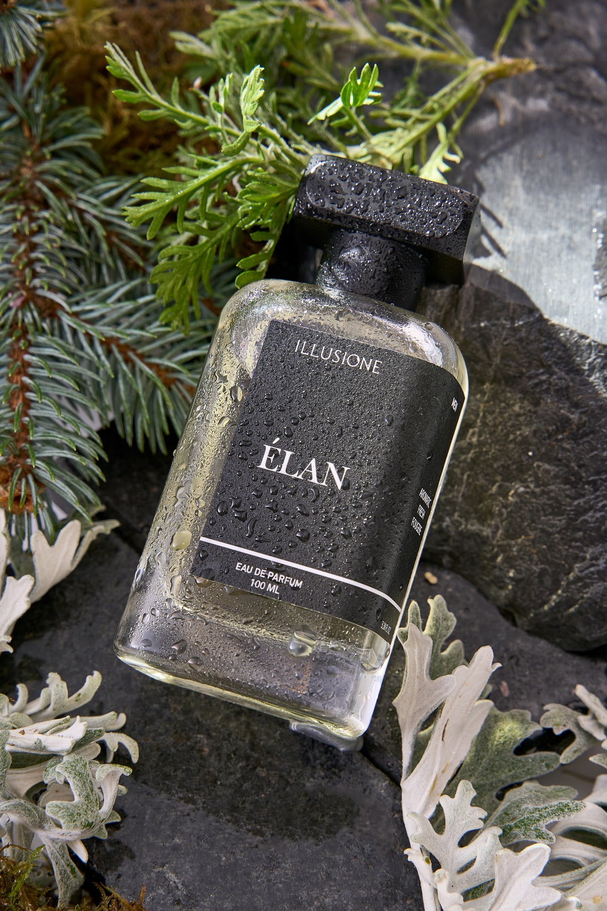 Illusione Élan EDP Erkek Parfüm 100ml