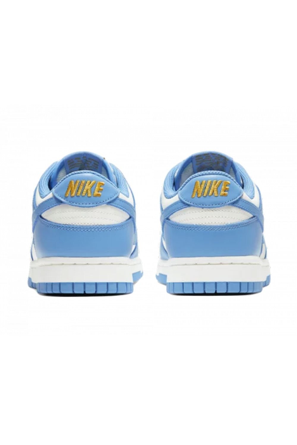 Nike Dunk Low Coast (W) N223