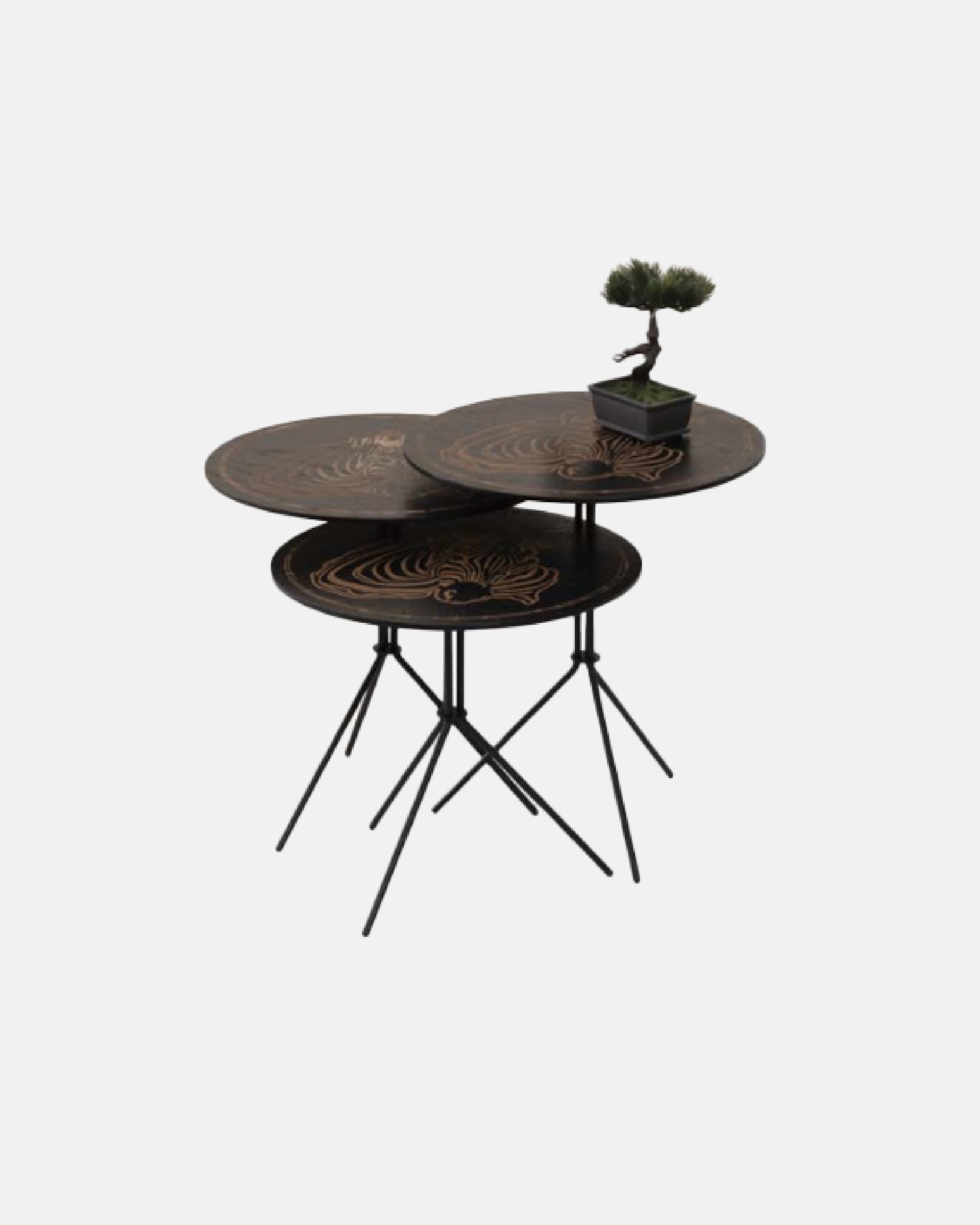 Safari Nesting Table (3Pcs)