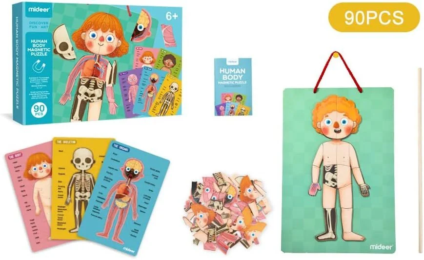 Body Magnet Eğitici İnsan Vücudu Oyun Seti 90 Parça