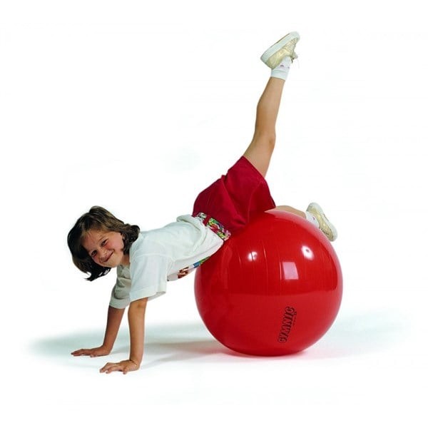 Gymnic Egzersiz Terapi Topu 55 cm 95.55