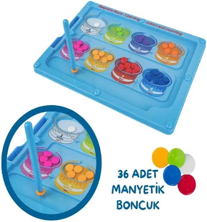 Steam Renkler Ve Sayılar Eğitim Tahtası 