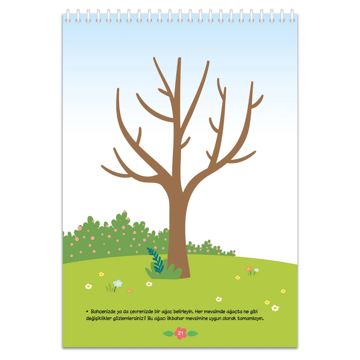 Bahçe ve Doğa Etkinlikleri