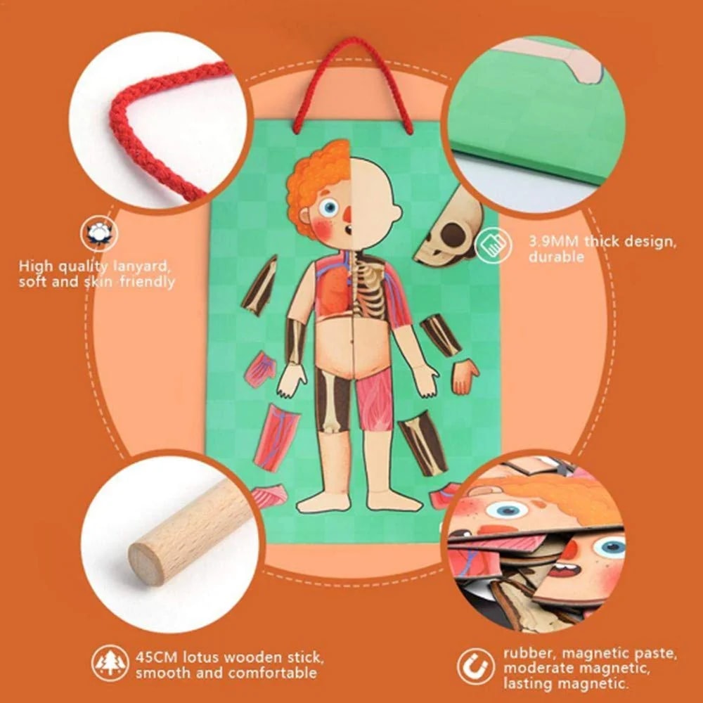 Body Magnet Eğitici İnsan Vücudu Oyun Seti 90 Parça