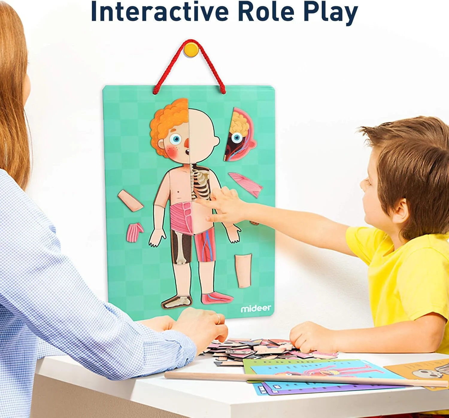 Body Magnet Eğitici İnsan Vücudu Oyun Seti 90 Parça