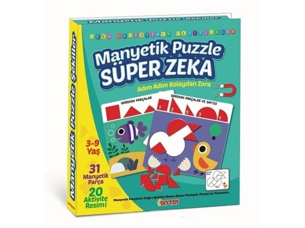 Manyetik Puzzle Süper Zeka