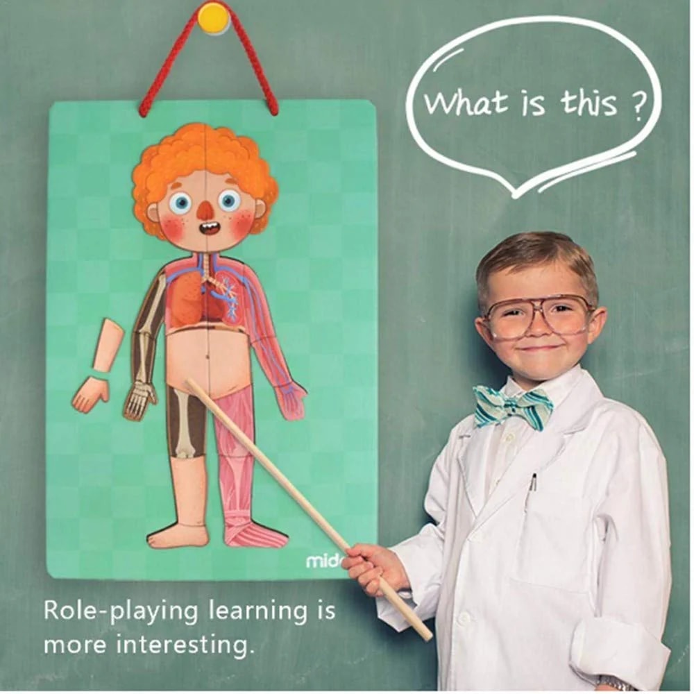 Body Magnet Eğitici İnsan Vücudu Oyun Seti 90 Parça