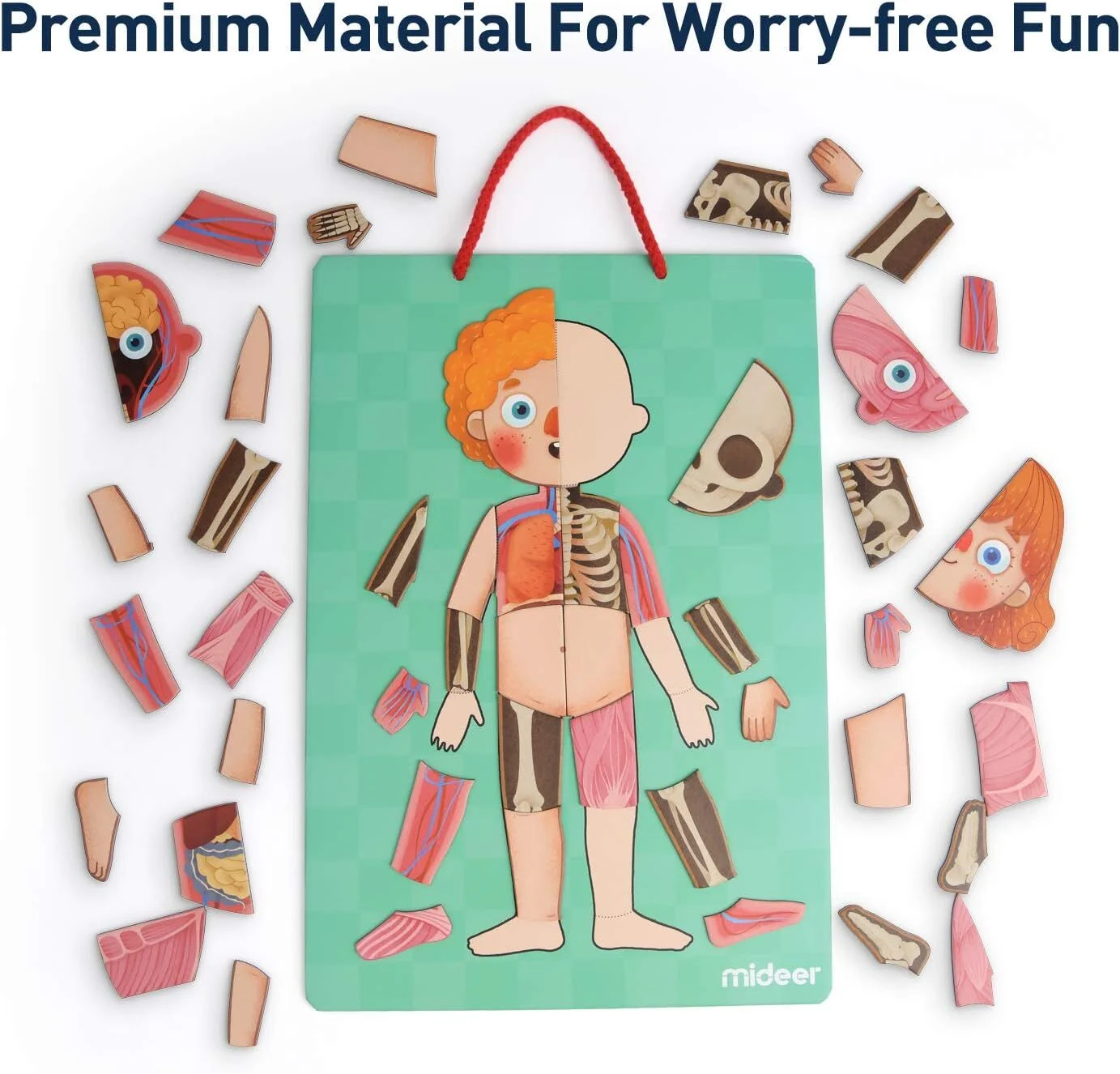 Body Magnet Eğitici İnsan Vücudu Oyun Seti 90 Parça