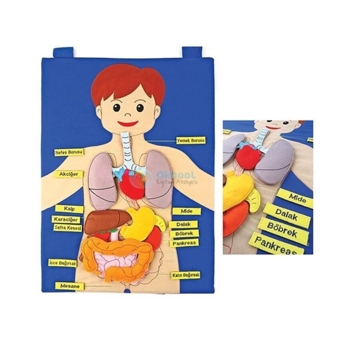 Cırtlı Kumaş Vücudumuz Pano 47x67 cm