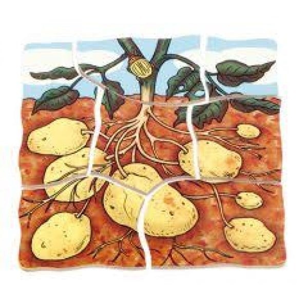 Beleduc Kat Kat Patates Puzzle