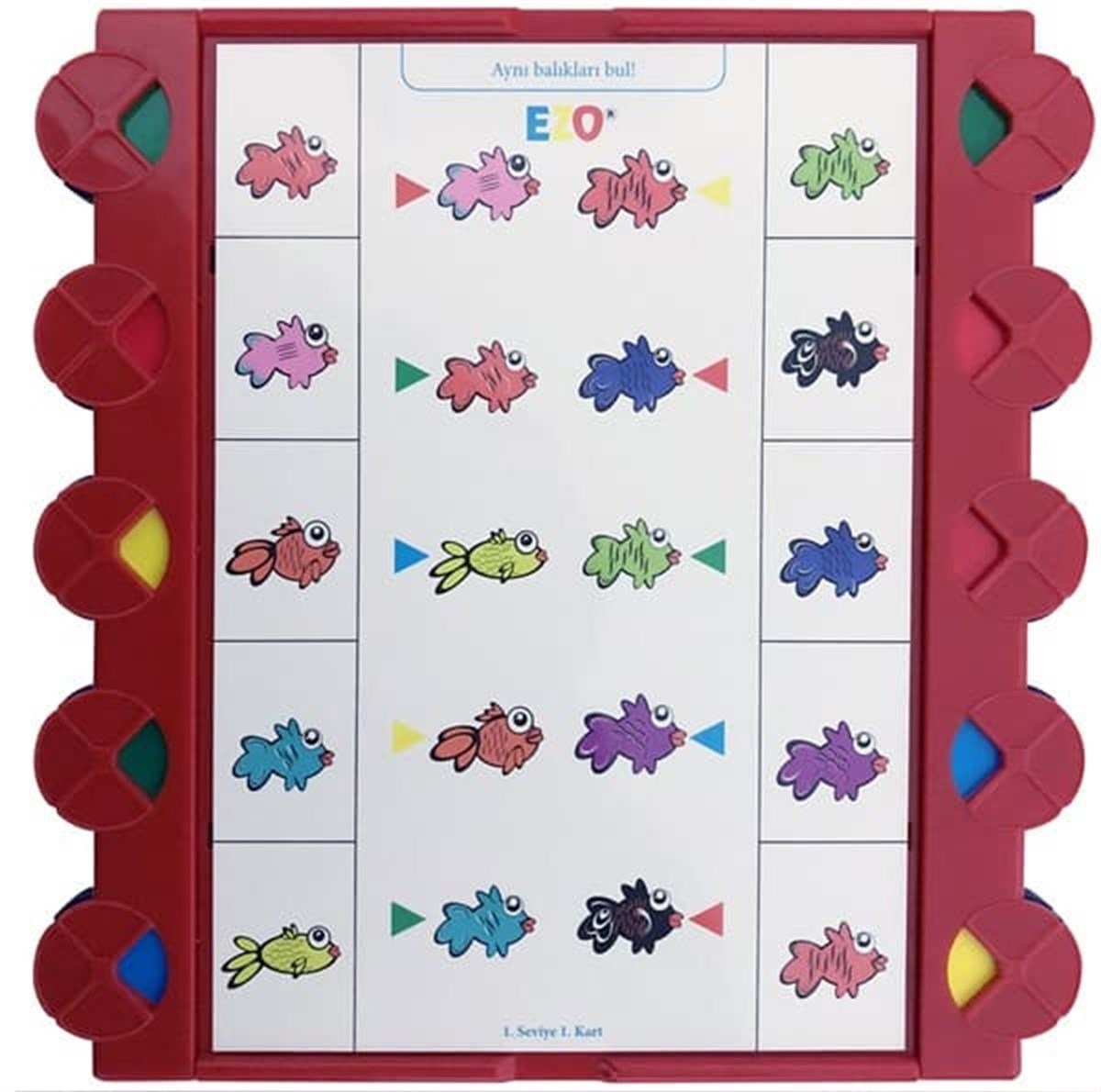 EZO Etkin Zeka Oyunları 5-6