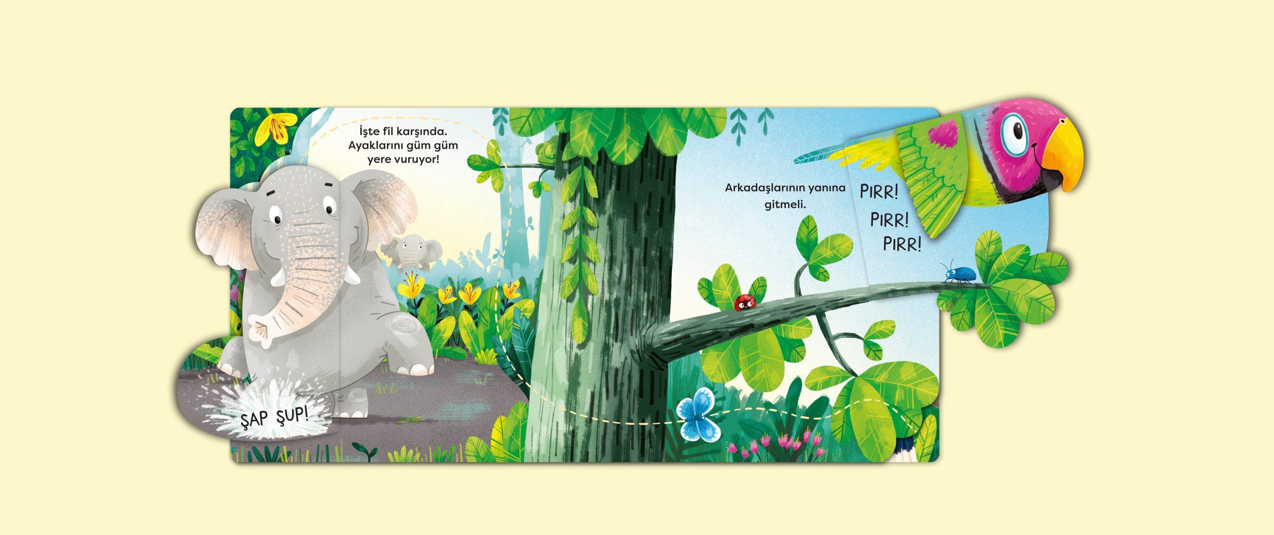 AçBak Serisi – Orman