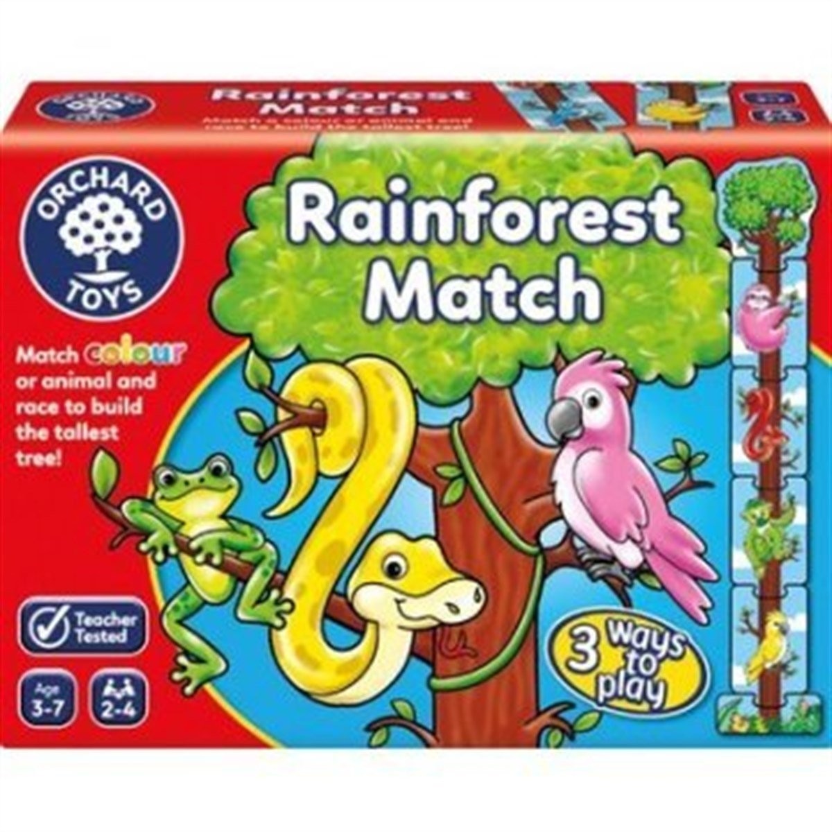 Rainforest Match Eğitici Kutu Oyunu
