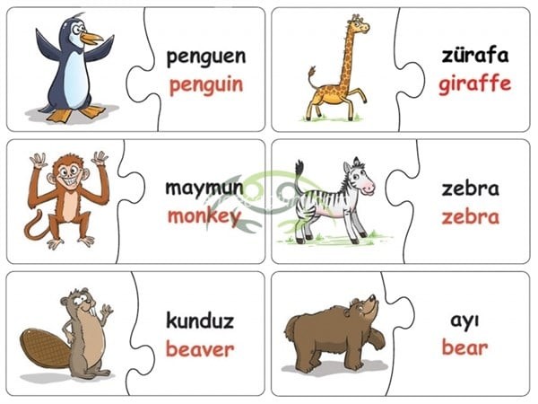 Edukido Eşleştir Hayvanlar