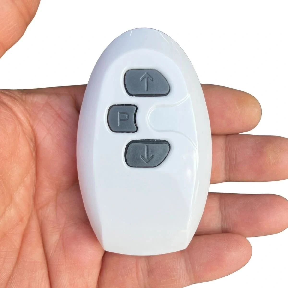 Wespina Akülü KumandalıI Motor Kutulu