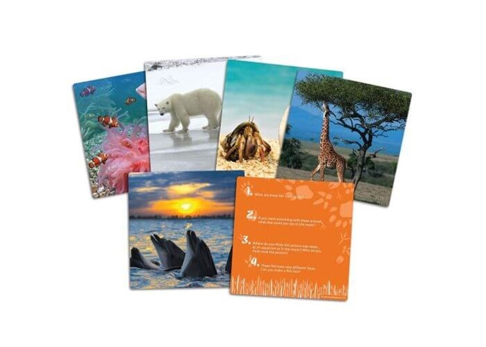 Wild About Animals Snapshots™ Critical Thinking Photo Cards