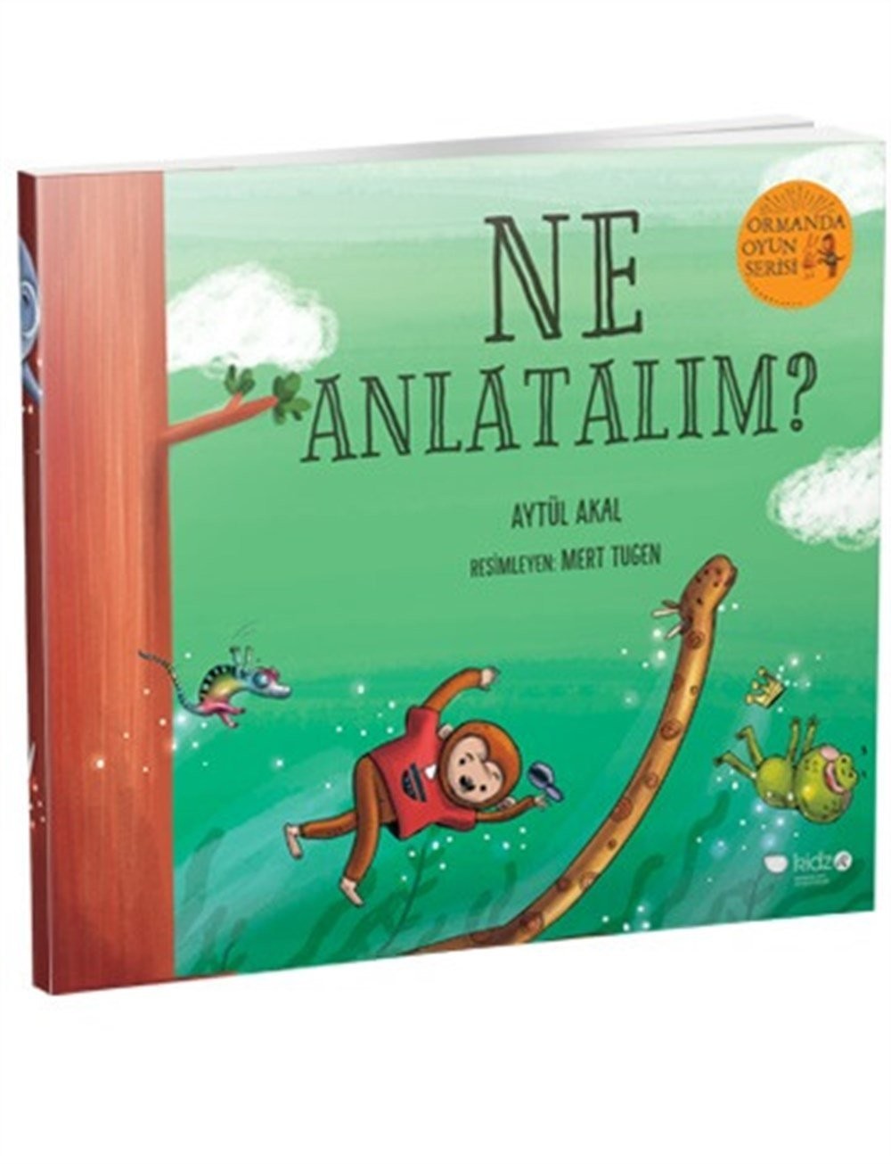 Ne Anlatalım?