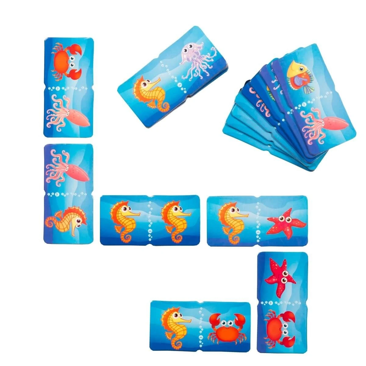 Eola Domino - Su Altı