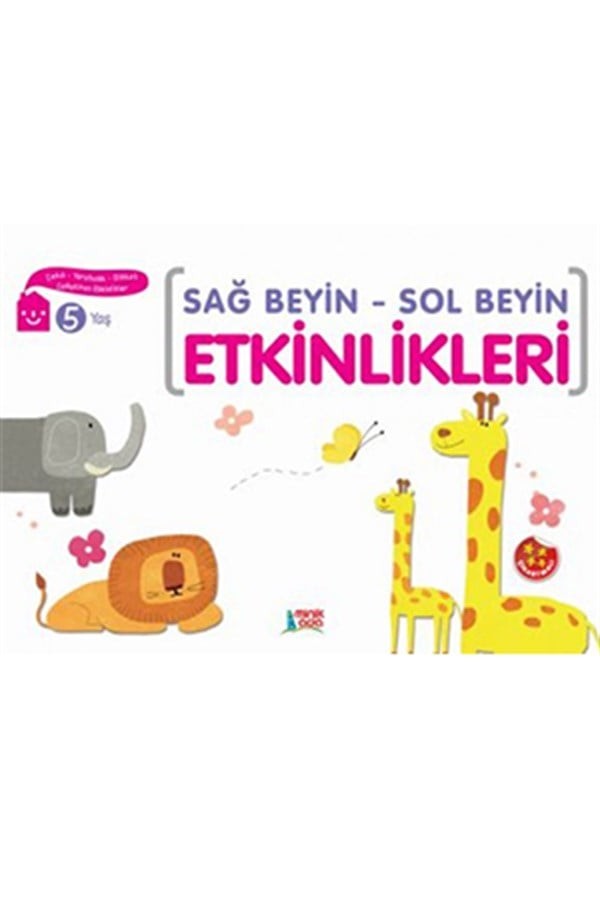 Sağ Beyin Sol Beyin Etkinlikleri 5 Yaş