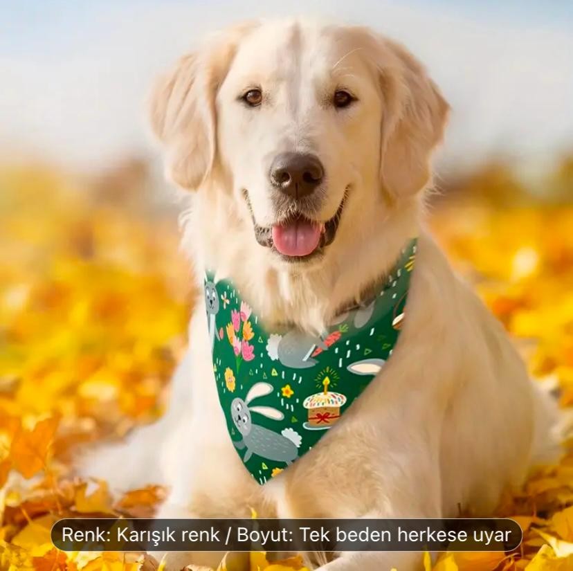 2'li Kedi & Köpek Turuncu Papyon + Fular Seti