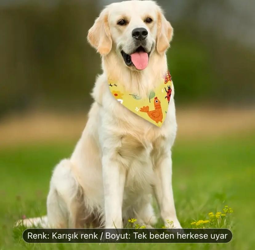 2'li Kedi & Köpek Turuncu Papyon + Fular Seti
