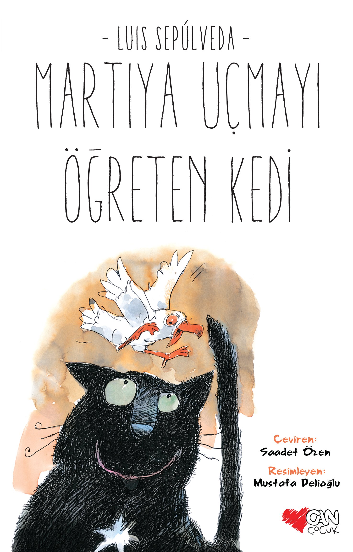 martıya uçmayı öğreten kedi