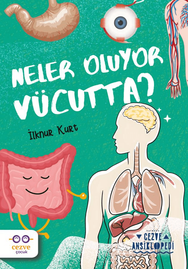 neler oluyor vücutta?