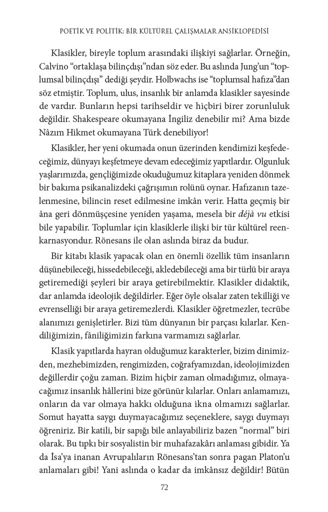 poetik ve politik - bir kültürel çalışmalar ansiklopedisi