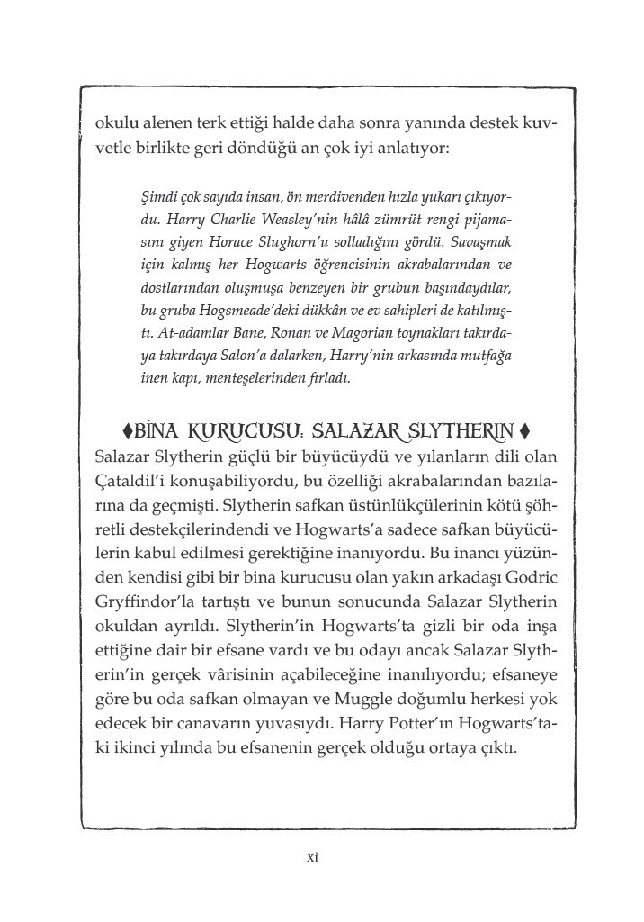 harry potter ve felsefe taşı - özel baskı