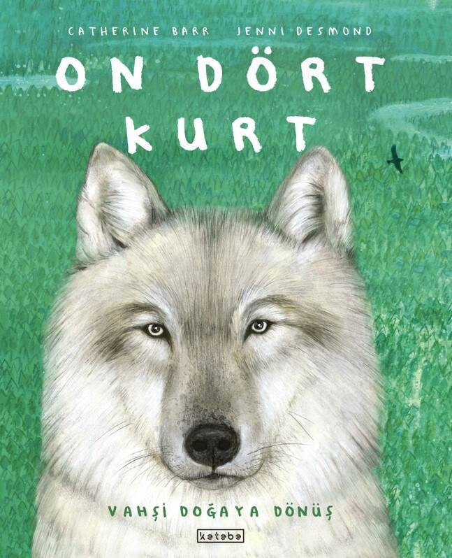 on dört kurt