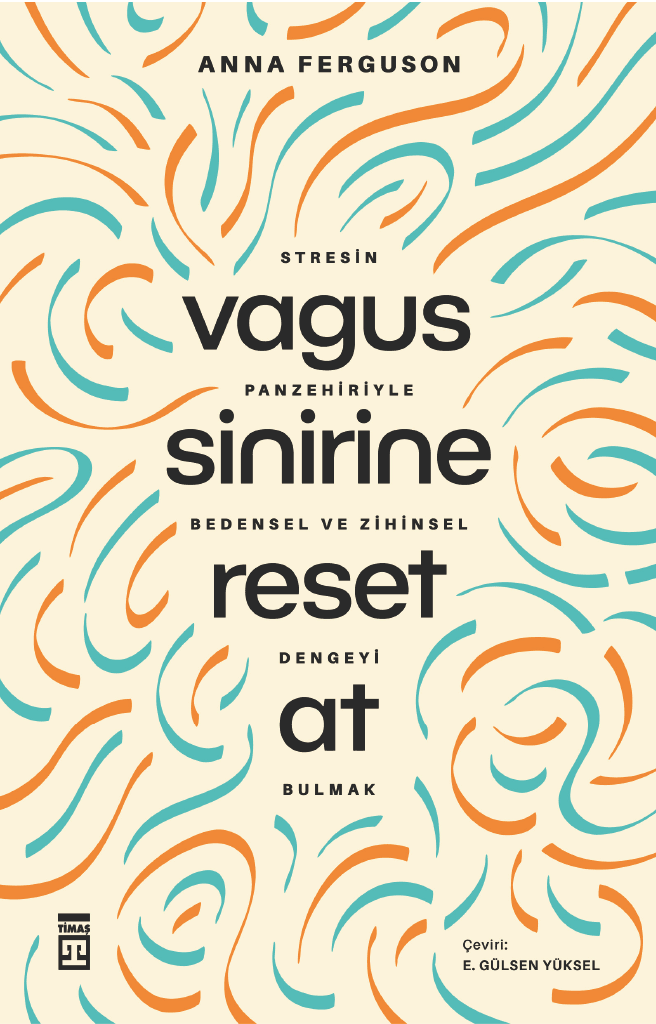 vagus sinirine reset at