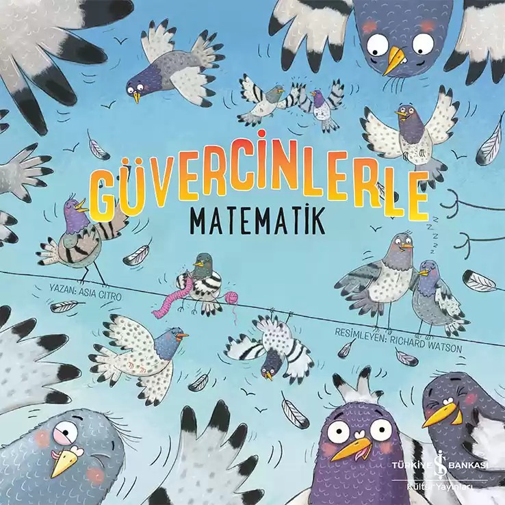 güvercinlerle matematik