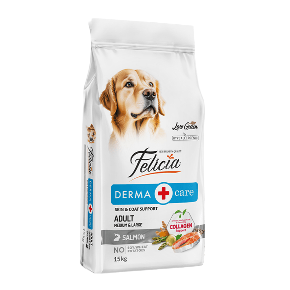 Felicia 3 Kg Kolajenli Somonlu Az Tahıllı M/Large Yetişkin Köpek Maması Breed HypoAllergenic