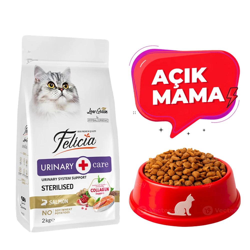 Felicia Kolajenli Somonlu Az Tahıllı Kısırlaştırılmış Kedi Maması HypoAllergenic Kedi Maması