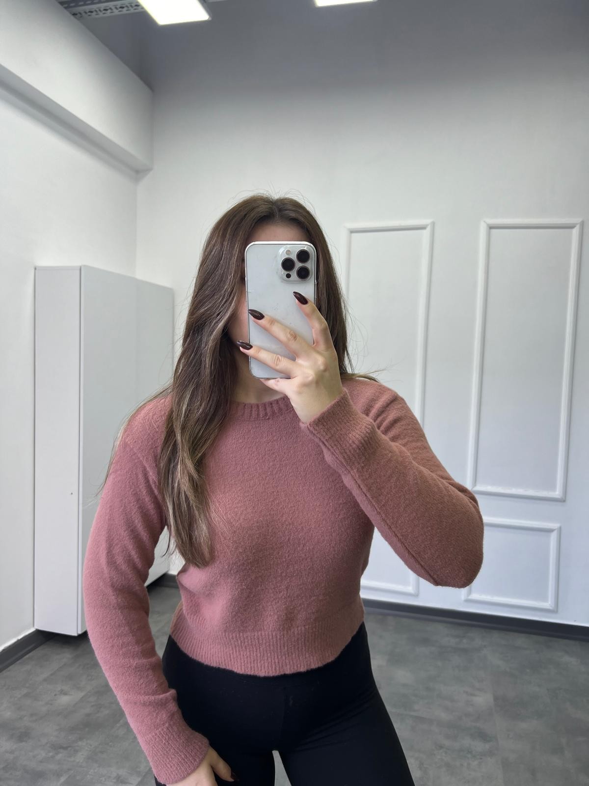 Gül Kurusu