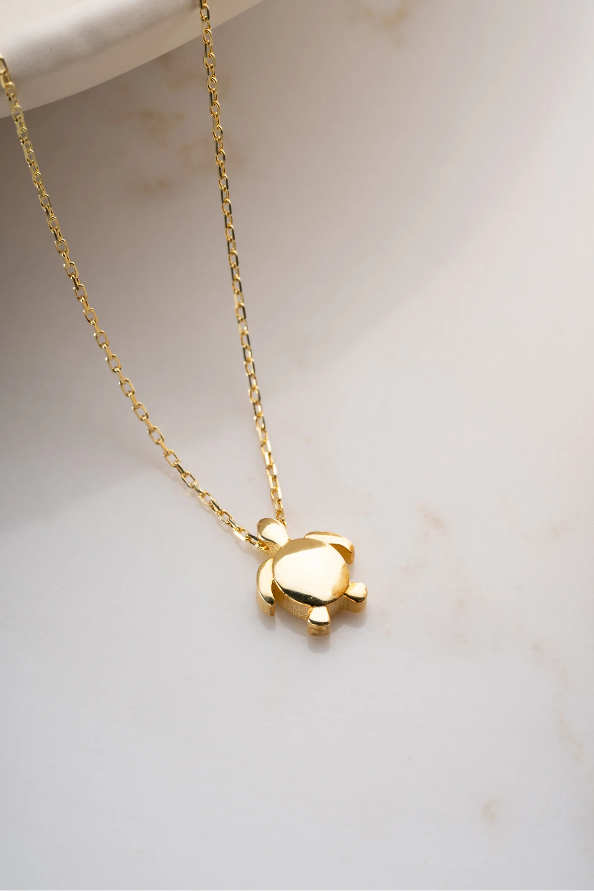 Kaplumbağa Gümüş Kolye