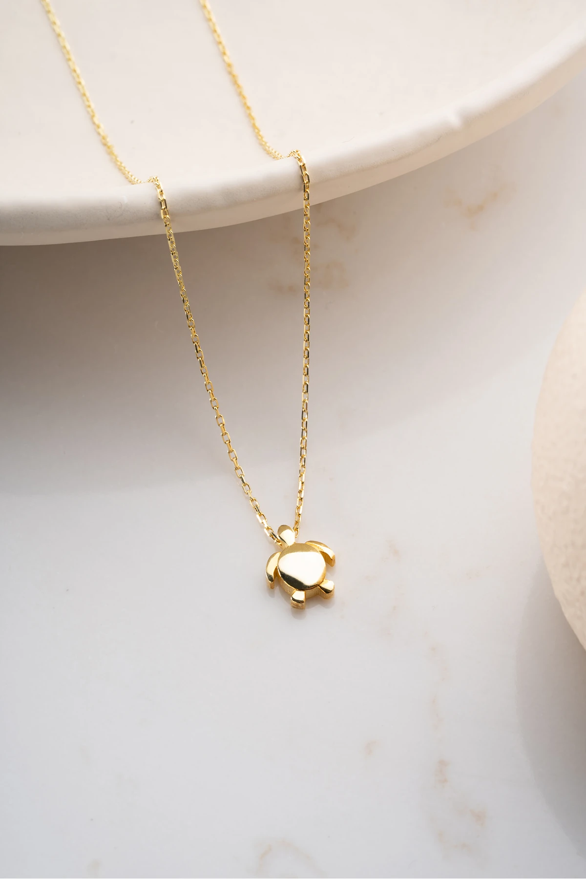 Kaplumbağa Gümüş Kolye