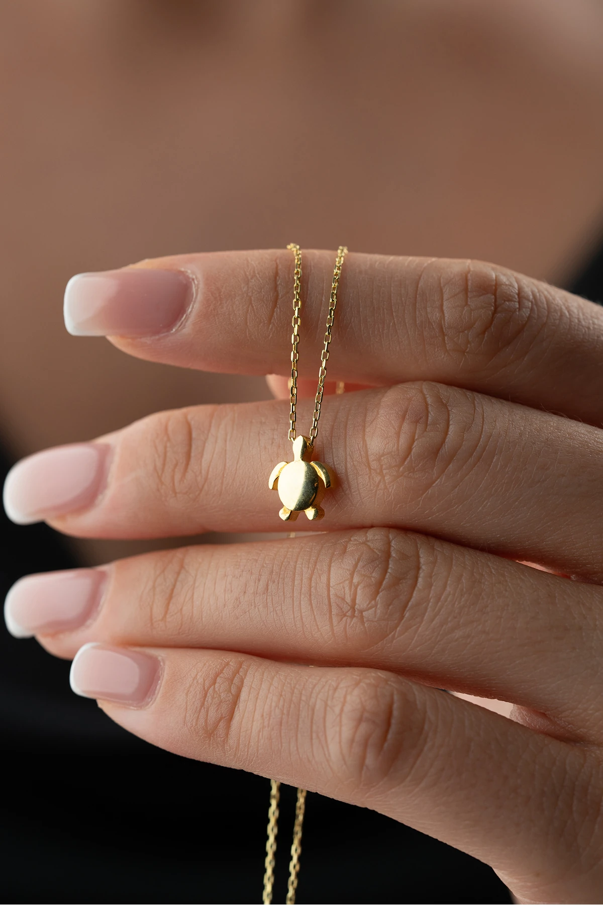 Kaplumbağa Gümüş Kolye