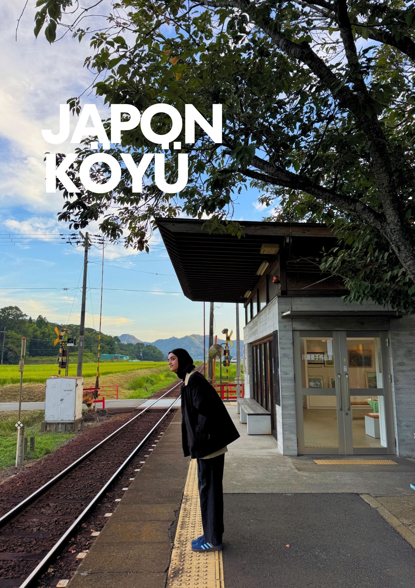 Japonya Seyahat Rehberi