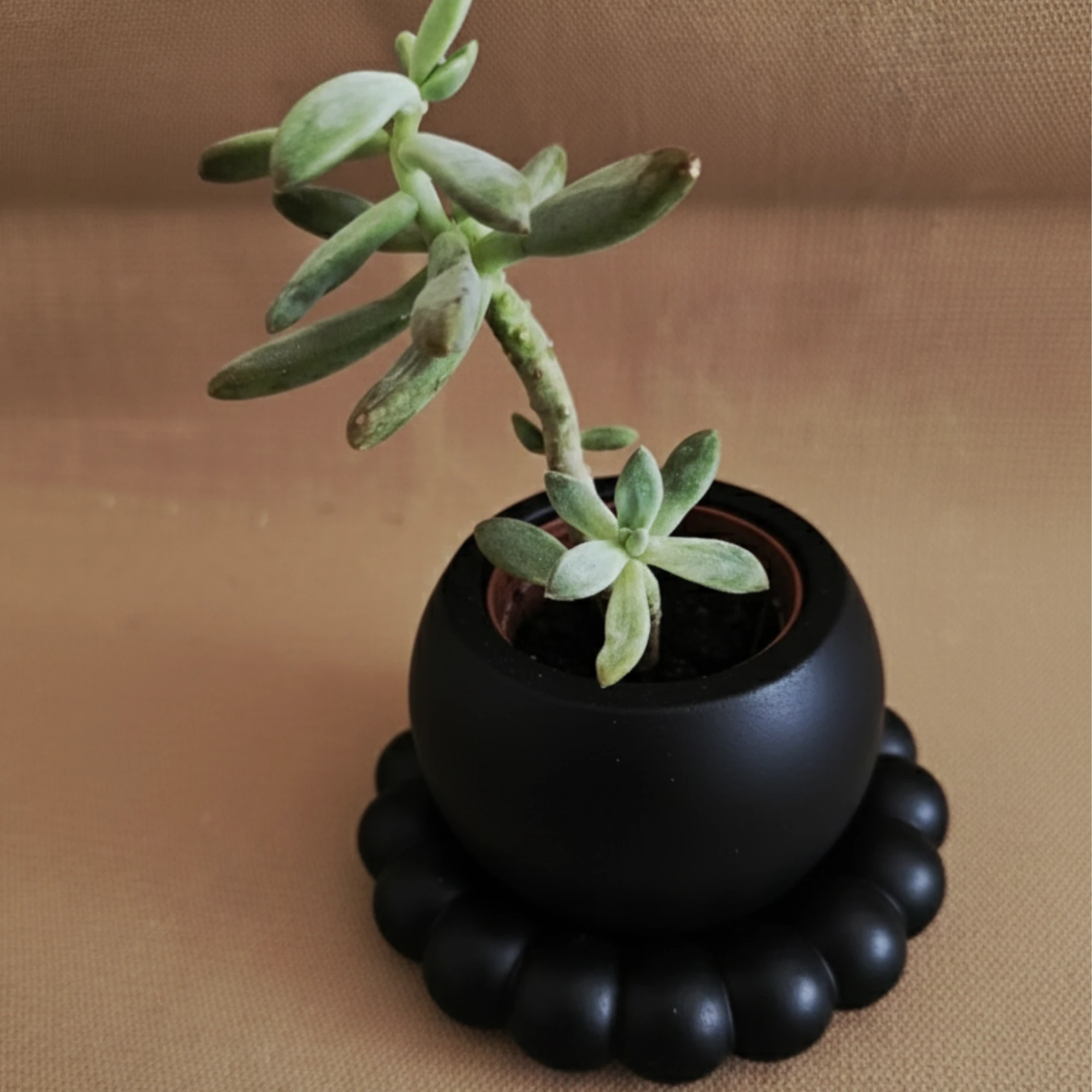 Utaylife El Yapımı Beton Küre Vazo ve Baloncuk Tepsisi Seti, Modern Ev Dekorasyonu