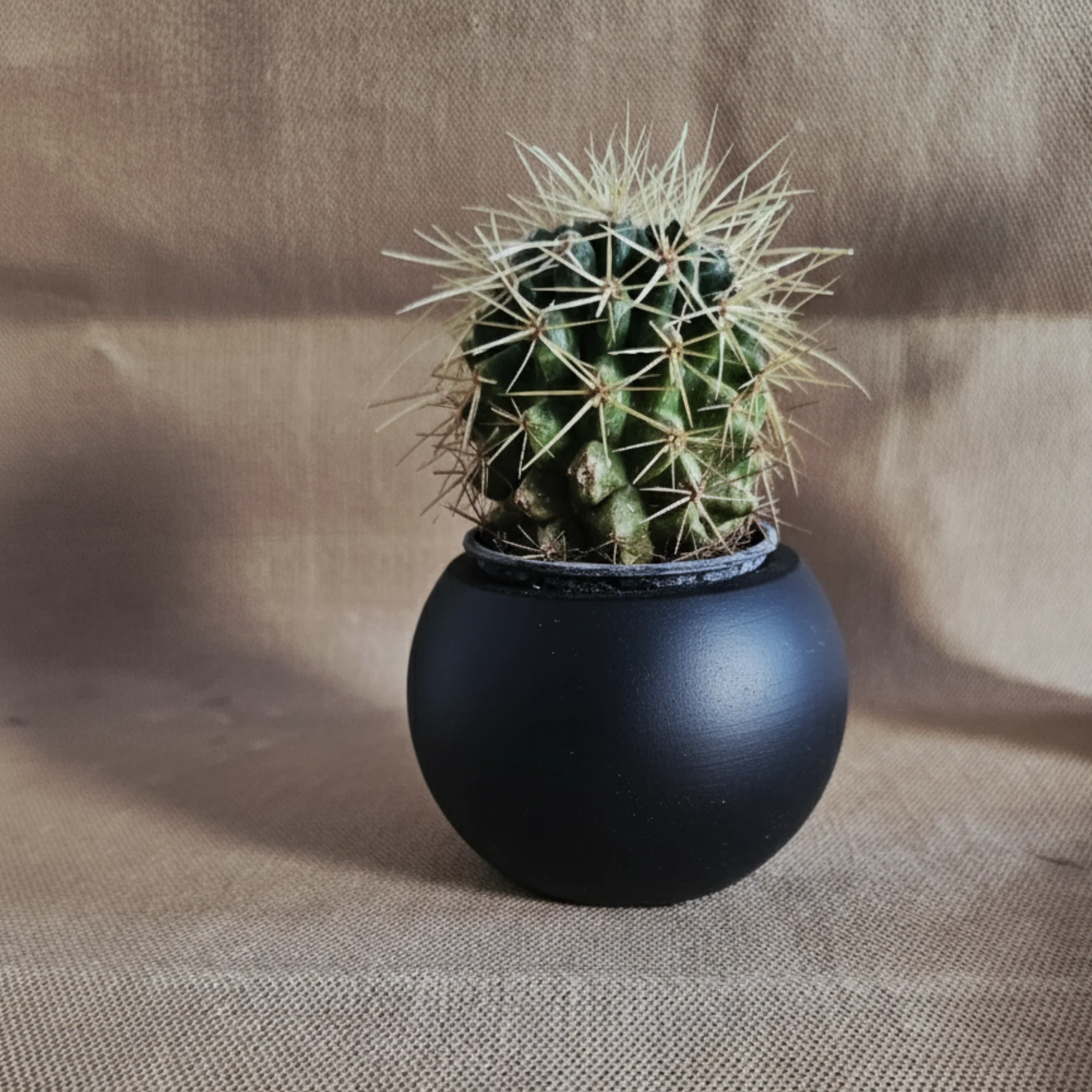 Utaylife El Yapımı Beton Küre Saksı, Minimalist Sukulent Saksı