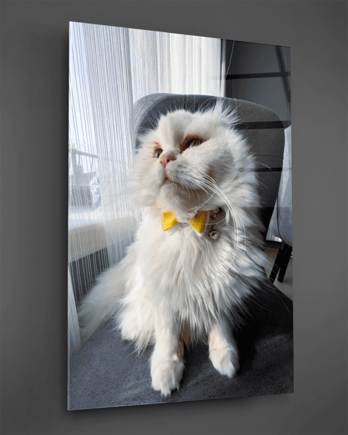 Sarı Papyonlu Beyaz Kedi Cam Tablo