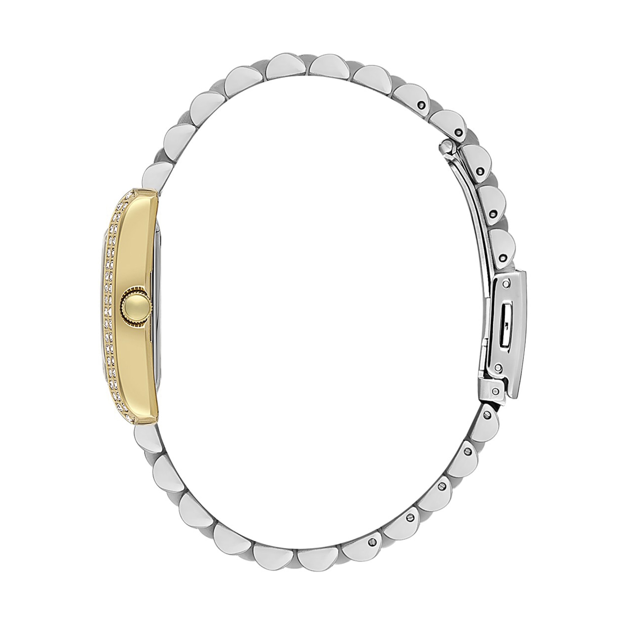 Daniel Klein DKE.1.10809-4 Premium Kadın Kol Saati