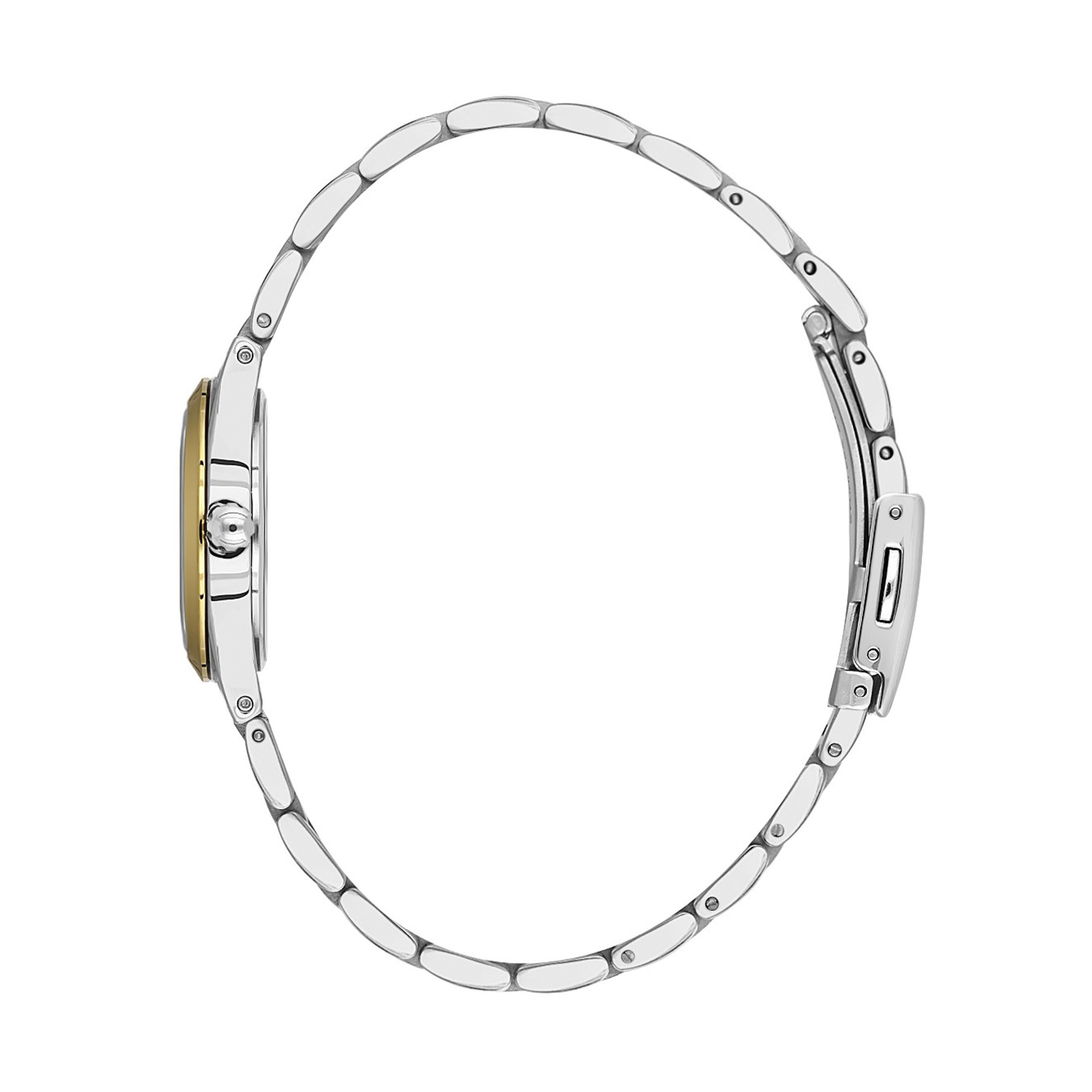 Daniel Klein DK.1.13940-4 Premium Kadın Kol Saati